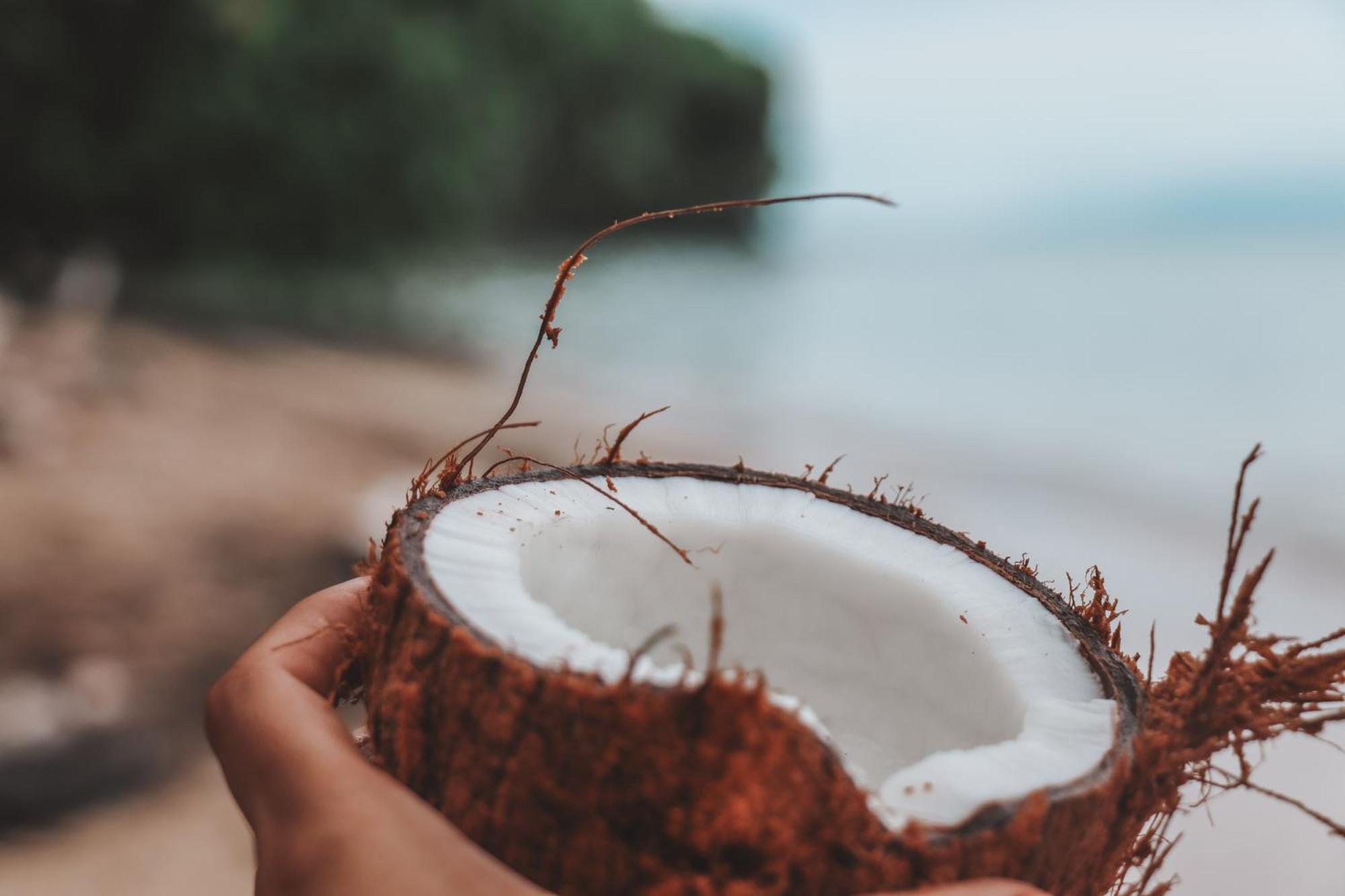 Waidroka Bay Resort Deuba エクステリア 写真
