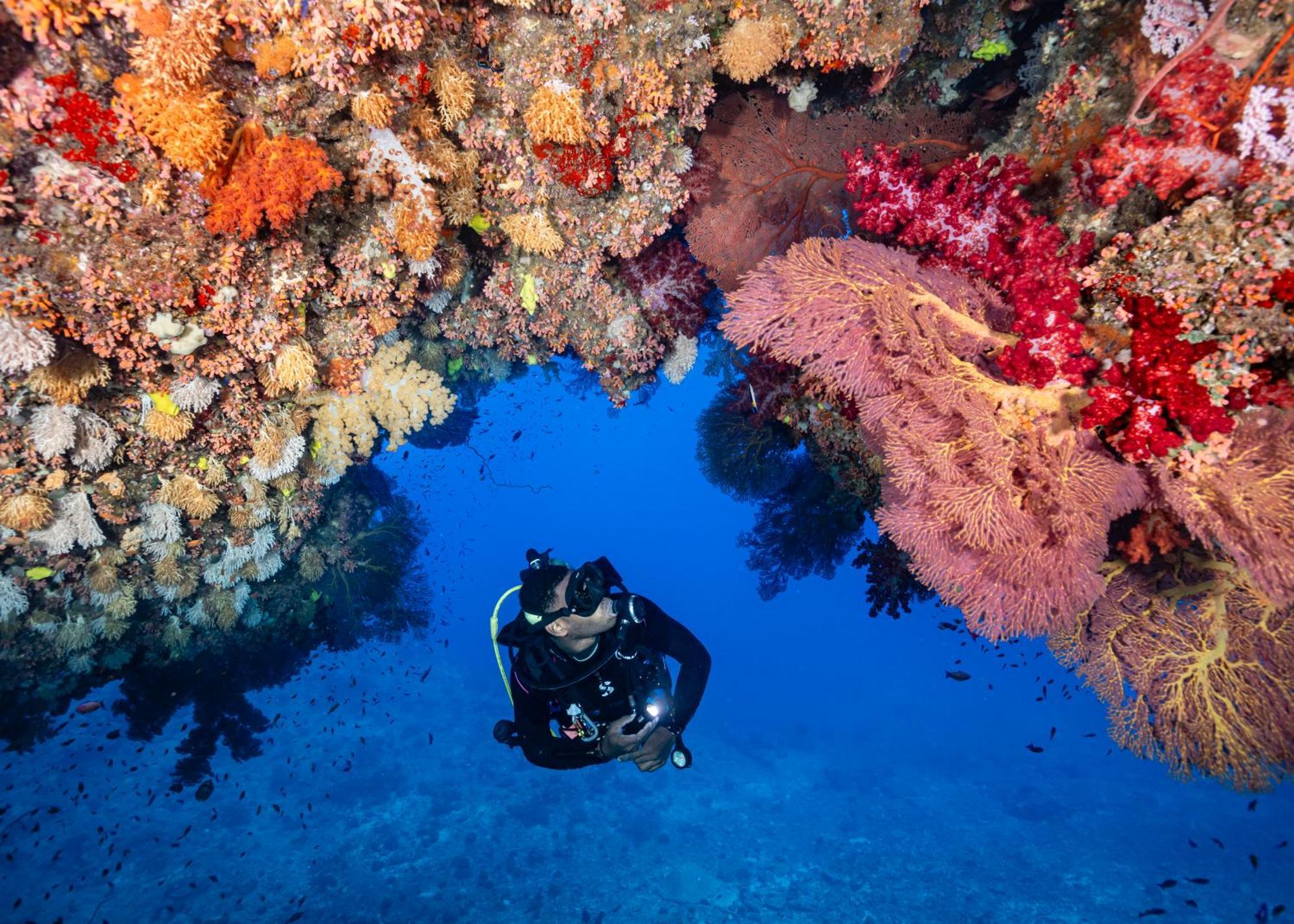 Waidroka Bay Resort Deuba エクステリア 写真