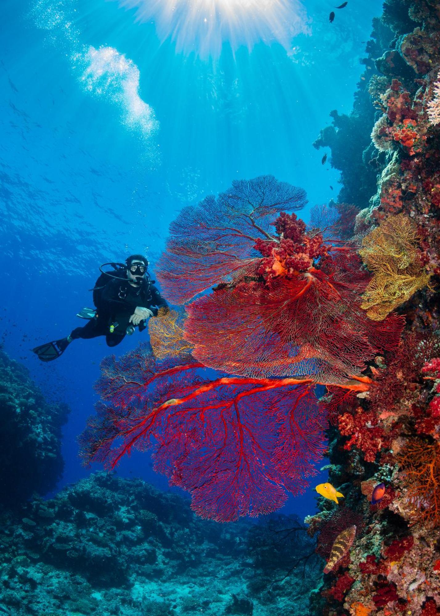 Waidroka Bay Resort Deuba エクステリア 写真