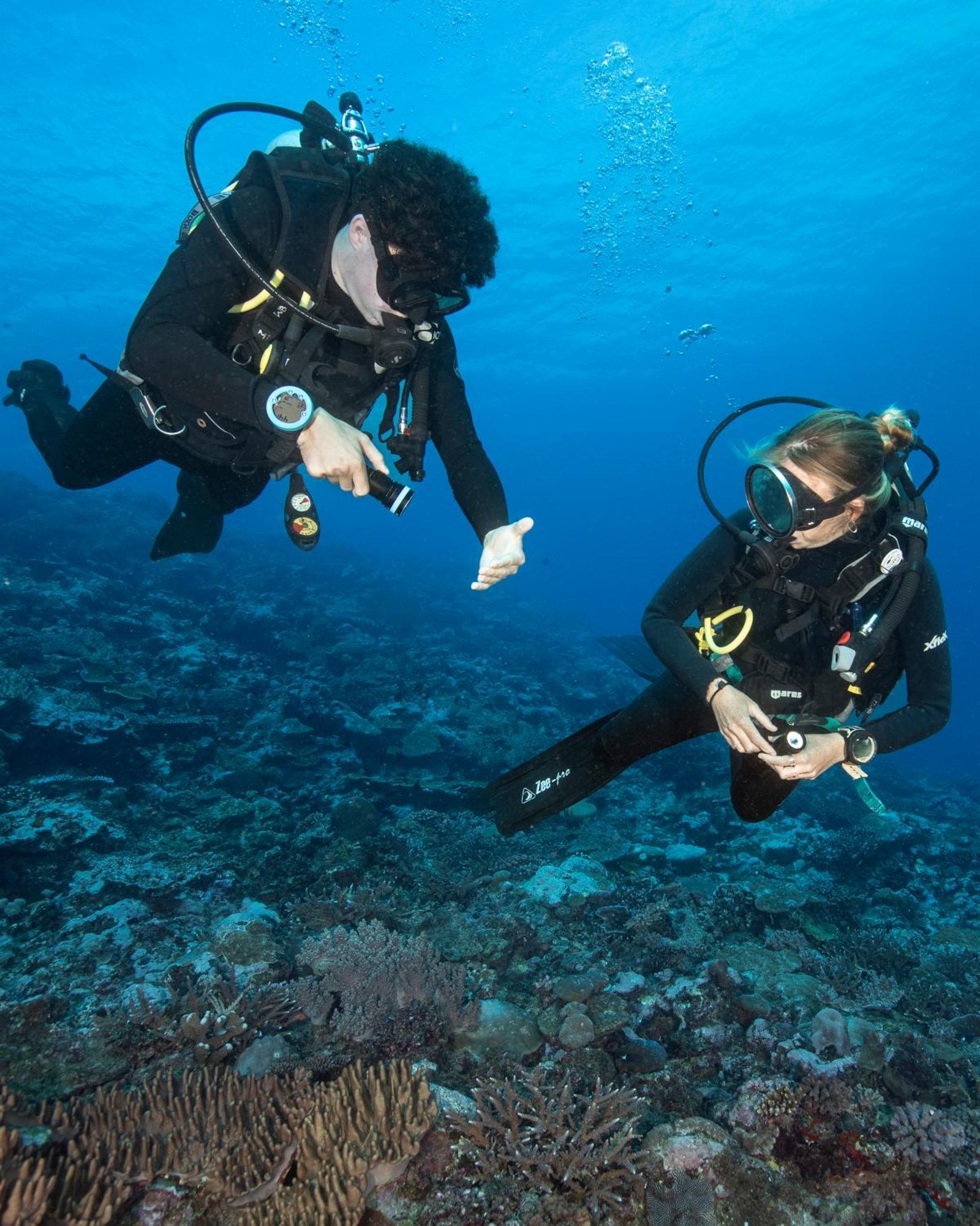 Waidroka Bay Resort Deuba エクステリア 写真