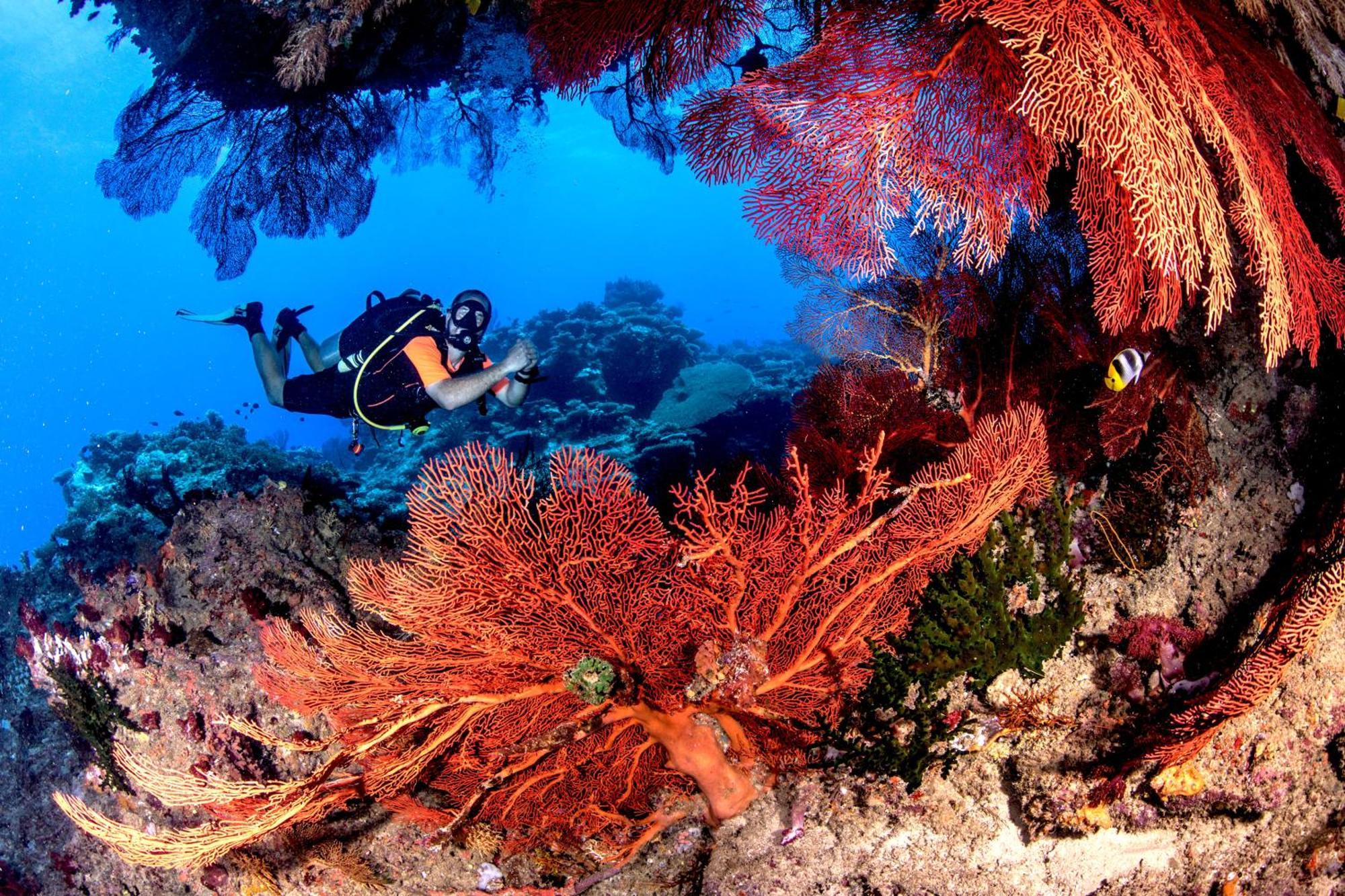 Waidroka Bay Resort Deuba エクステリア 写真
